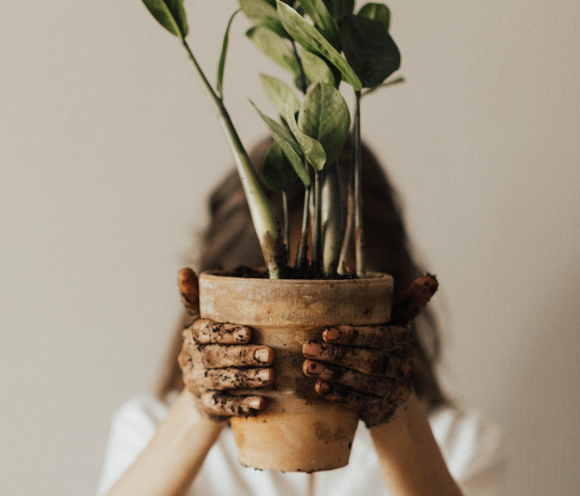 Person holding up a potted plant with soil-covered hands
