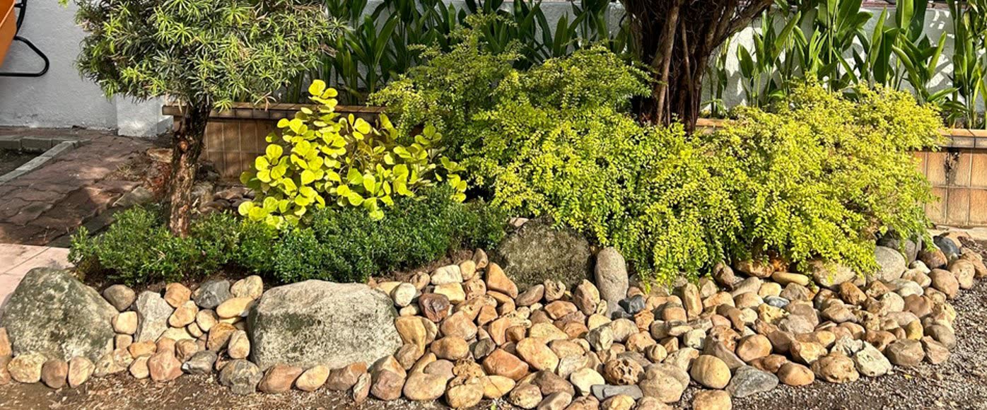 Rock garden with shrub border and river stones