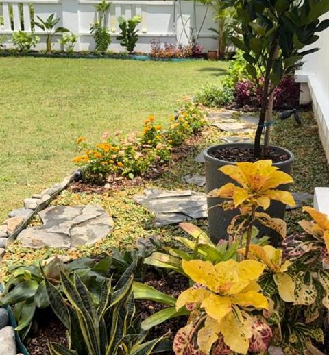 Lawn border planting bungalow — Landscape Build by Tanaman Garden Co.