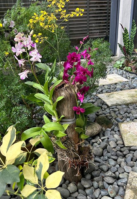 Orchid feature pebble bed — Landscape Build by Tanaman Garden Co.