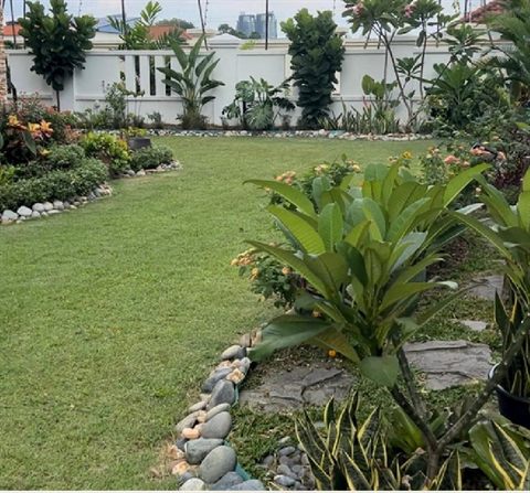 Lawn and garden bed with stone edging