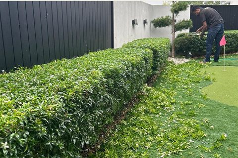 A neatly trimmed hedge beside a lawn &mdash; Landscape Maintenance by Tanaman Garden Co.