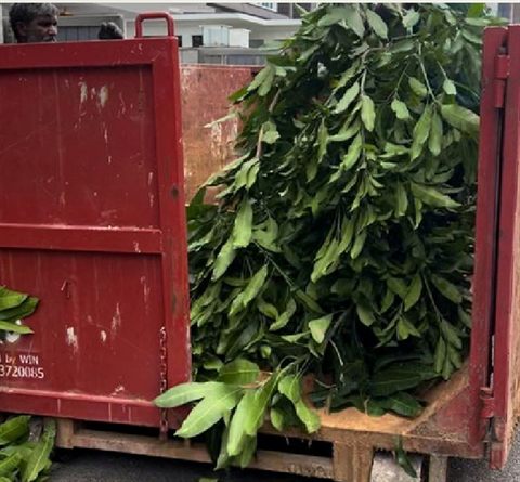 Green waste disposal — Landscape Maintenance by Tanaman Garden Co.