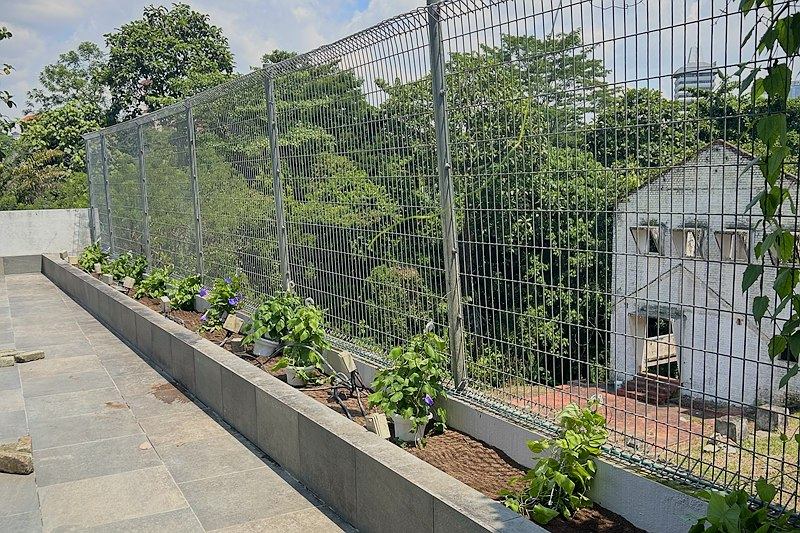 Long raised planter with young flowering climbers at the foot of a tall mesh fence on a stone-tiled roof terrace.