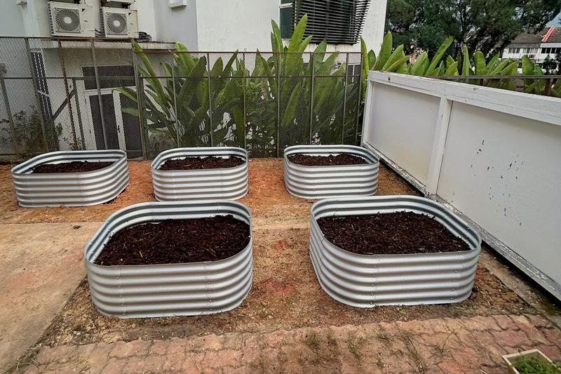 Five empty steel raised beds freshly filled with dark organic mix on bare ground, before planting.