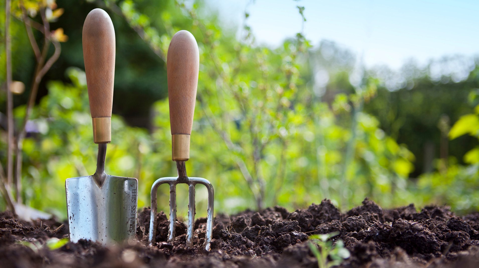 A hand trowel and fork standing in freshly turned dark soil